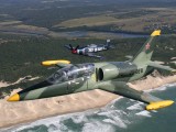 Stu Davidson's L39 and Sea Fury over the Eastern Cape coast