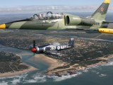 Stu Davidson's L39 and Sea Fury over Kenton-on-Sea