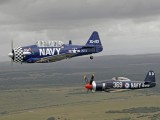 Stu Davidson's Sea Fury and Harvard near Port Alfred