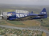 Stu Davidson's Harvard