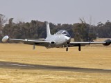 Impala taking off