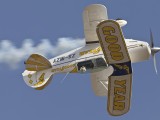 Goodyear Pitts