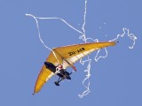 Microlight cuts the toilet roll