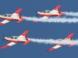 SAAF Silver Falcons