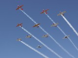 Eleven Harvards in formation