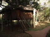 Zululand Tree lodge001