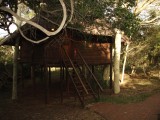 Zululand Tree lodge002