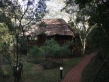 Zululand Tree lodge003
