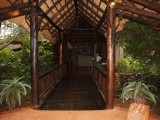 Zululand Tree lodge021