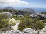 Wes_67 - on top of Table Mountain