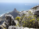 Wes_72 - looking down from Table Mountain 
