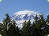 Mt Rainier_ 224