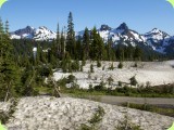 Mt Rainier_ 294